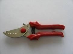 Secateurs 220mm nickel-plated, notched S-41-5N